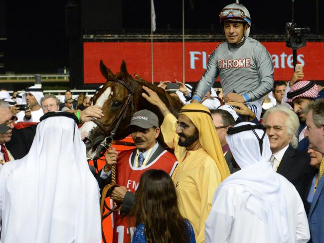 California Chrome was the toast of Dubai after his impressive win.