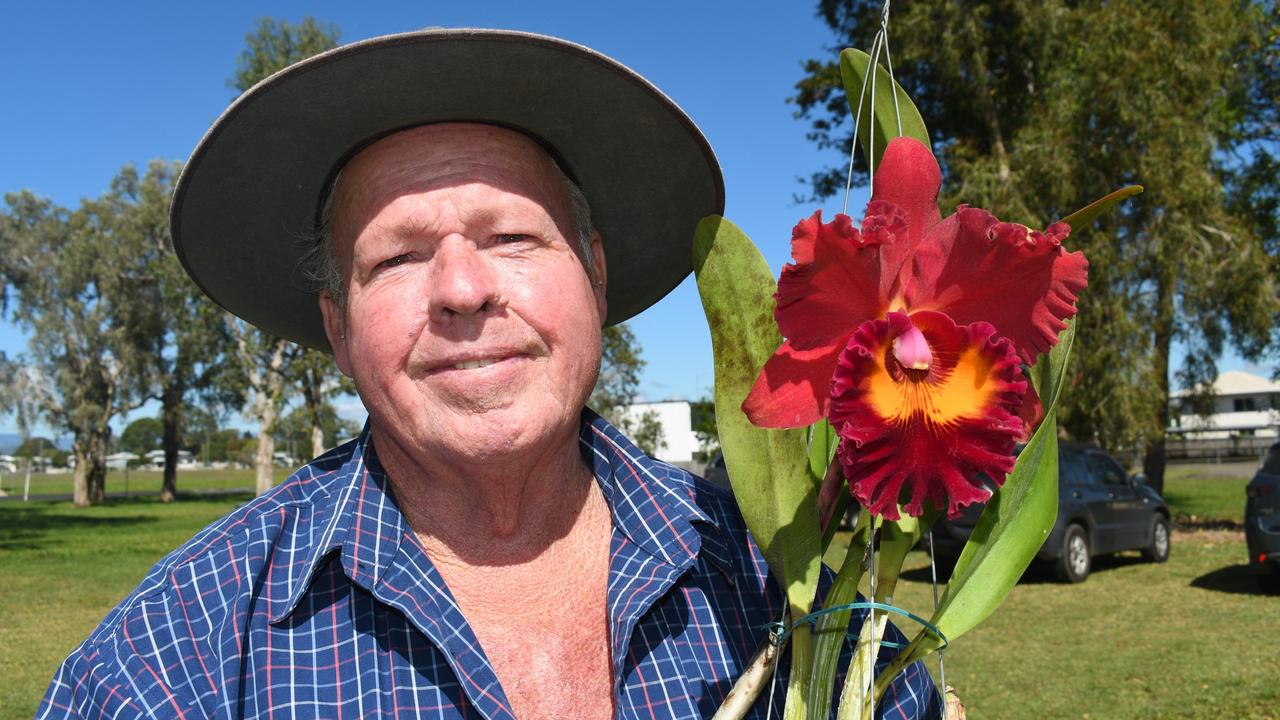 Bob Jackson, president of the Hinchinbrook-based Herbert River Orchid and Allied Plants Society, at the annual Herbert Valley Orchid and Foliage Show at Conroy Hall in Ingham on Friday. Mr Jackson is pictured holding an award-winning Cattleya orchid. Picture: Cameron Bates