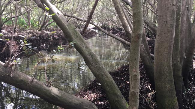 The Jagara name for Norman Creek - Kulpurum - was the winner of a vote to decide the new moniker for an East Brisbane road.