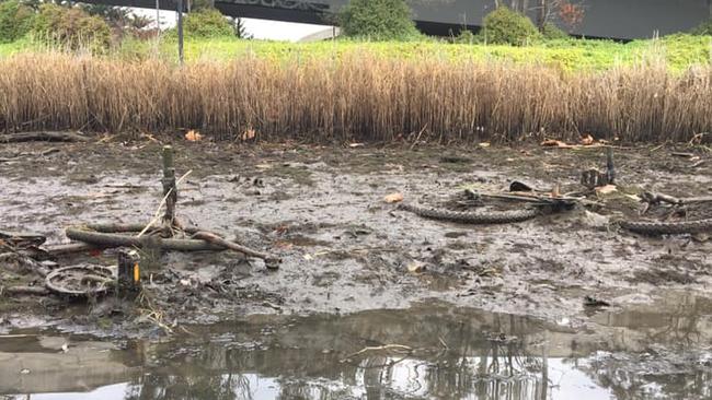 Bikes stuck in the river marshlands.