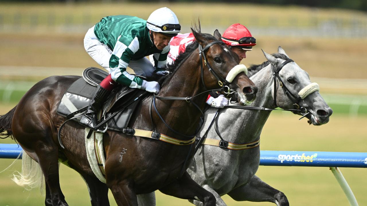 Angel Capital (left) shades stablemate Acid Wash in a gallop at Sandown on Wednesday. Picture: Vince Caligiuri/Getty Images