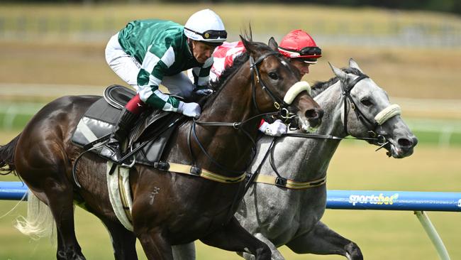 Angel Capital (left) shades stablemate Acid Wash in a gallop at Sandown on Wednesday. Picture: Vince Caligiuri/Getty Images