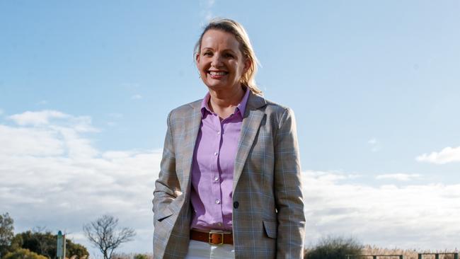 Deputy Liberal leader Sussan Ley. Picture: Matt Turner