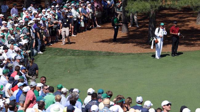 Tiger Woods still gets a crowd. Photo by JAMIE SQUIRE / GETTY IMAGES NORTH AMERICA / Getty Images via AFP.