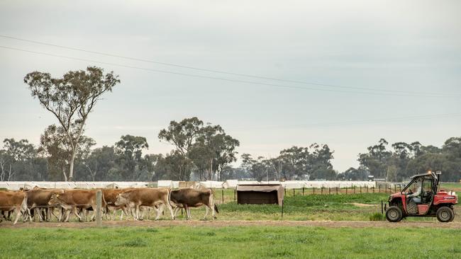 While Victorian farmers have raised concerns over an agribusiness services withdrawal, farm lobby leaders in other states have witnessed the trend too. Picture: Zoe Phillips