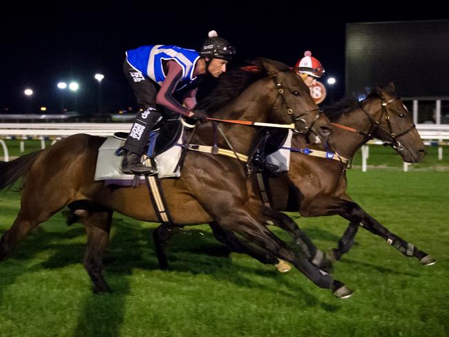 Press Statement with Hugh Bowman (red jacket) and Kermadec with Glen Boss on board work together on Tuesday. Picture: Jay Town