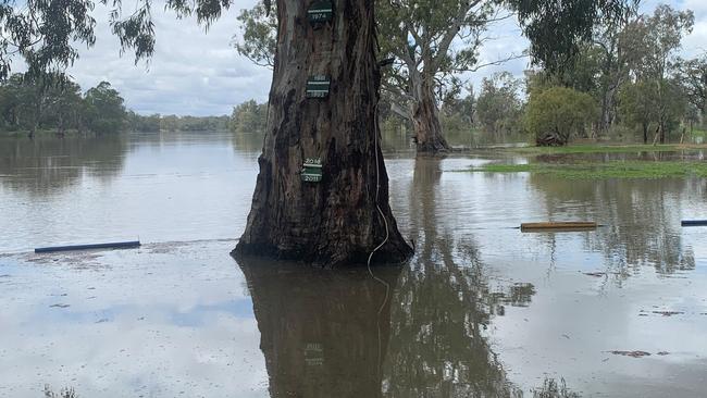 Irrigation communities have already lost 1990GL of their water to the environment, so that more wetlands can be flooded.