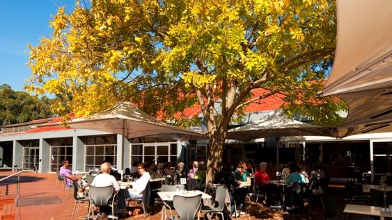 Hazelhurst Art Gallery is temporarily shut due to concerns over a patron who may have contracted COVID-19.