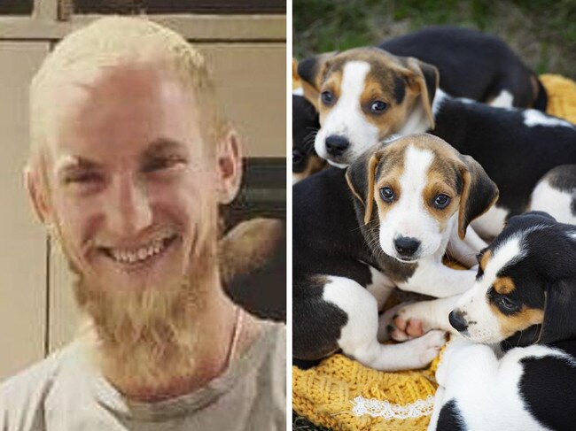 South Coast man’s role in nefarious puppy scam revealed