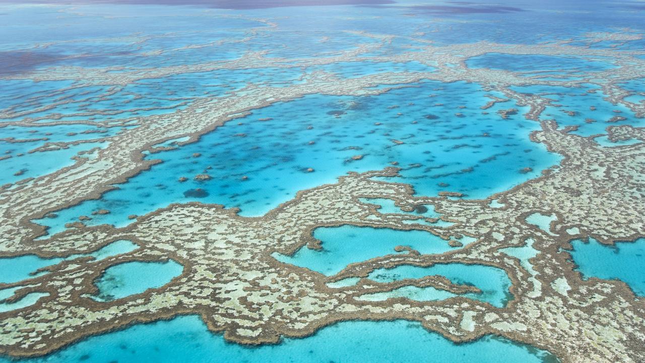 Great Barrier Reef with blue ocean