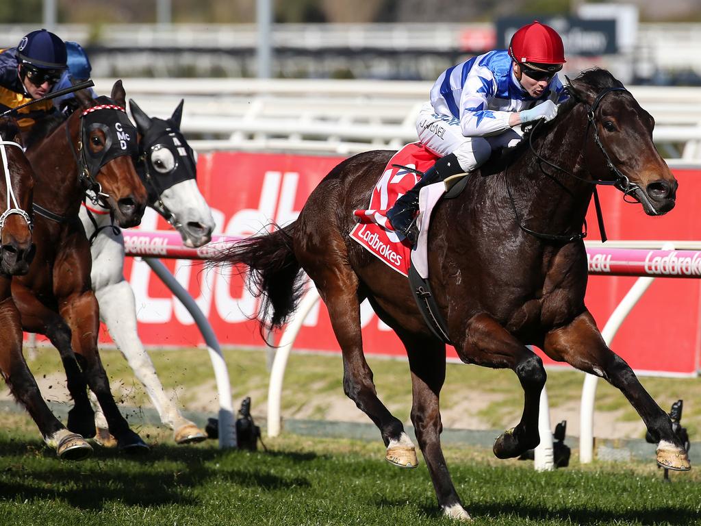 Super Titus won Race 4, ZircoDATA Heatherlie Stakes during Melbourne Racing Memsie Stakes Day at Caulfield Racecourse on August 31, 2019, and looms as a solid cheapie option for SuperCoach Racing