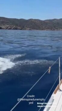 Aussie comedic duo The Inspired Unemployed swing off the back of a yacht in Greece