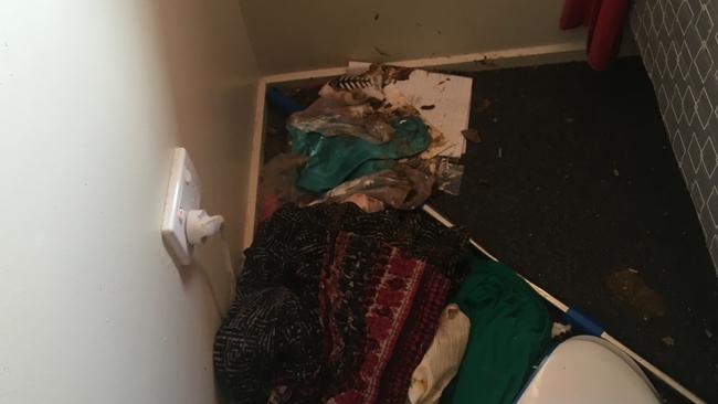 Some 25 pets were found living in filthy conditions in a Caboolture home as their owner struggled to care for them, as well as her ailing mother. Picture: RSPCA