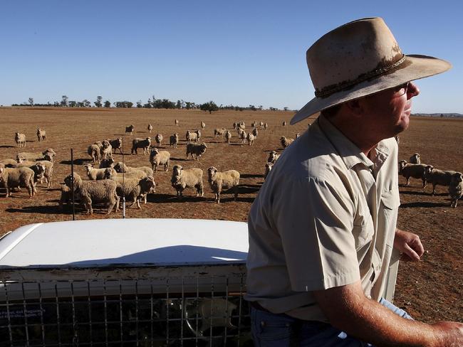 Australian droughts are predicted to increase and last longer. Picture: Lisa Maree Williams