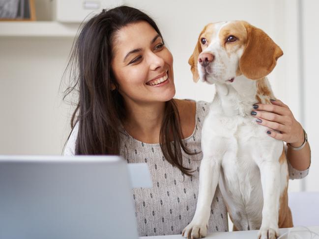 Caucasian businesswoman sitting in home office with her dog