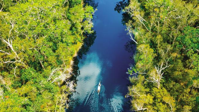 The Noosa Everglades are a photographer’s paradise, offering mirror-like reflections.