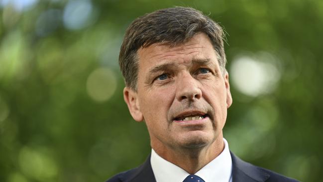 Coalition frontbencher Angus Taylor. Picture: Getty Images