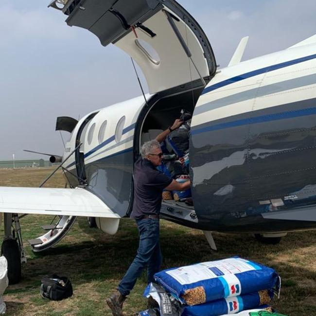 Animals Australia carried out a 900kg food drop across Mallacoota last week.