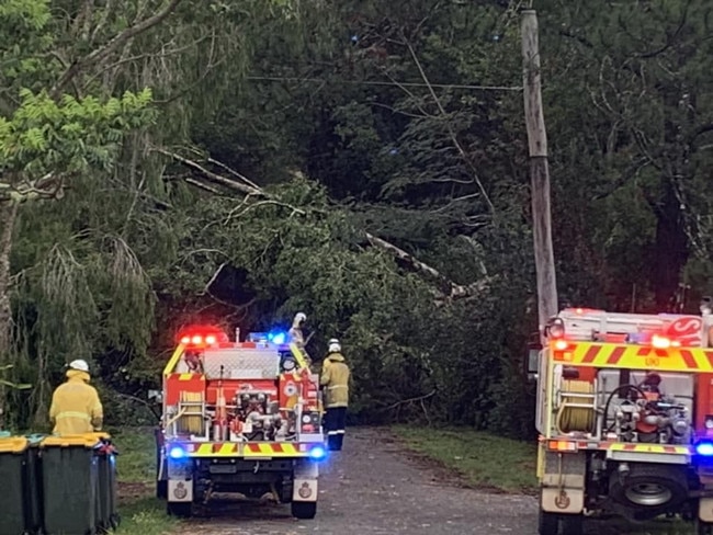 A tree that was blown over on top of a car at Uki in thunderstorms that ravaged Northern NSW on Boxing Day. Picture: Lismore SES