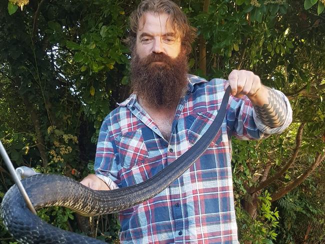 North West snake catcher Scott Smith captured this 5.5 foot tiger snake near the front door of a Stowport house this week. Photo: Supplied