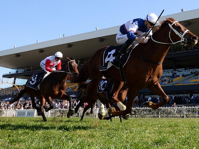 Alward salutes at Rosehill Gardens. Picture: AAP