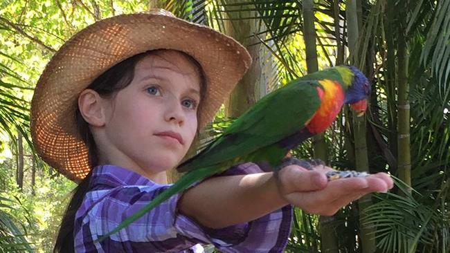 Georgia Lorange feeding the Rainbow lorikeets at Thunderbird Park. Picture by Kirk Lorange