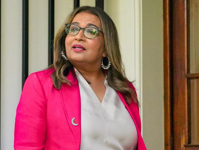 Senator Mehreen Faruqi. Picture: NewsWire/Luis Enrique Ascui