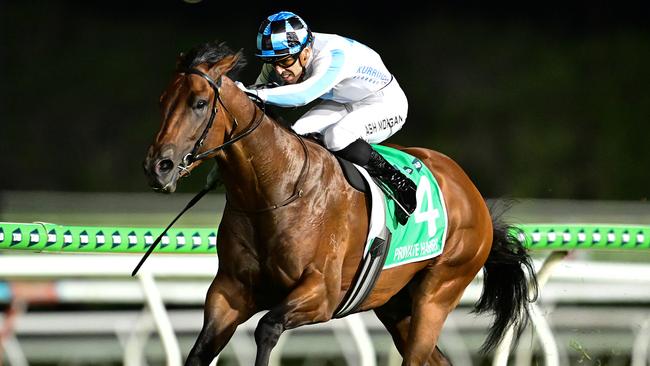Private Harry winning The Sunlight on the Sunshine Coast on Saturday night Picture: Grant Peters