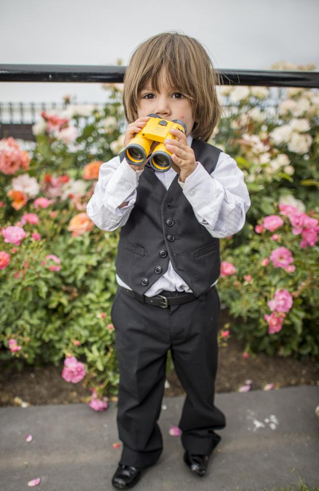 Edvart Riihinen, 3, Finland keeping a close eye on the races at the 2014 Melbourne Cup. Picture: Jason Edwards.