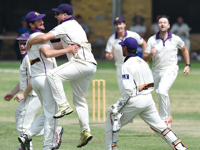 Druids celebrate a wicket in Saturday’s thumping semi-final win. Picture: Josie Hayden