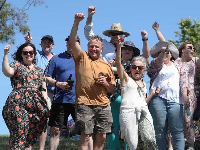 Celebrations underway in Footscray Park. NCA NewsWire / David Crosling