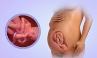 35 Weeks Pregnant- Symptoms and placenta