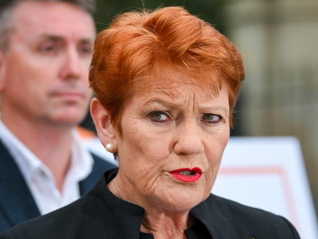 BRISBANE, AUSTRALIA - NewsWire Photos - OCTOBER 2, 2024.One Nation leader Senator Pauline Hanson and the partyâs Queensland leader James Ashby attend a press conference to declare their preferences in the upcoming state election, outside Parliament House in Brisbane.Picture: Dan Peled / NewsWire