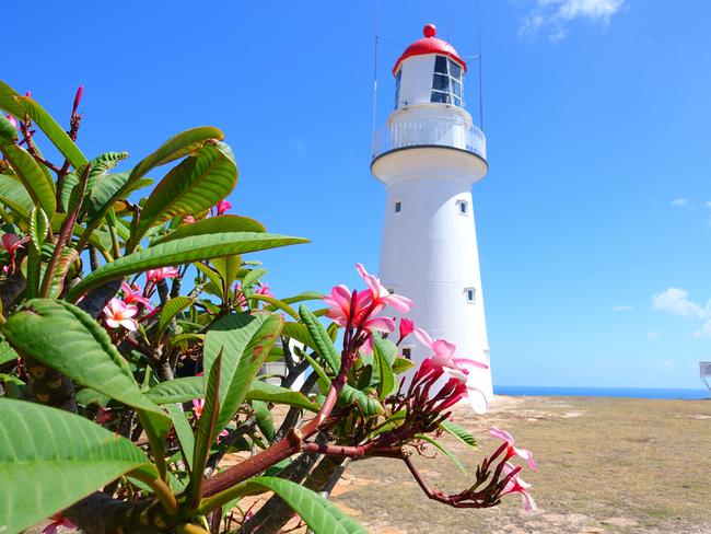 Bustard Head Lighthouse.