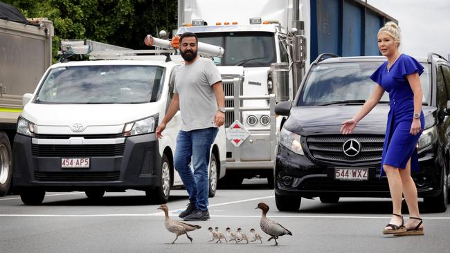 Kayhan Tabrizi and Riki-Lee Crane (blue), helping a family of ducks and there ducklings cross a busy Kingsford Smith Drive at the Racecourse Rd. intersection - on Wednesday 16th of October 2024 - Photo Steve Pohlner