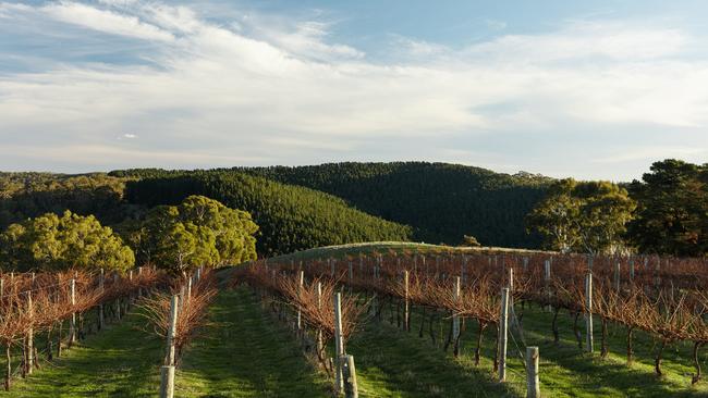 Supplied Editorial View from the Coach House at Kangarilla, South Australia.