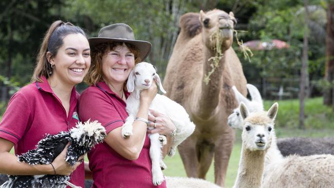 Neve Taylor with her mum Katrina White and animals 'Priscilla' the polish hen, Steffie the mini goat, gypsy the camel, and Blondie the Alpacca. Picture: AAP/Renae Droop