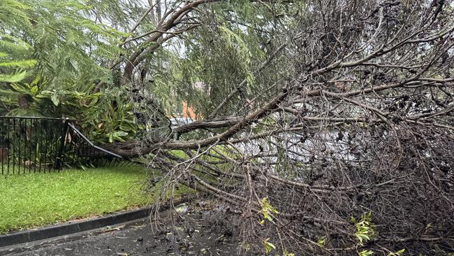 Debris and trees fallen at Southport, Gold Coast on Friday, March 7, 2025 during the lead up to Tropical Cyclone Alfred. Picture: Andrew Potts