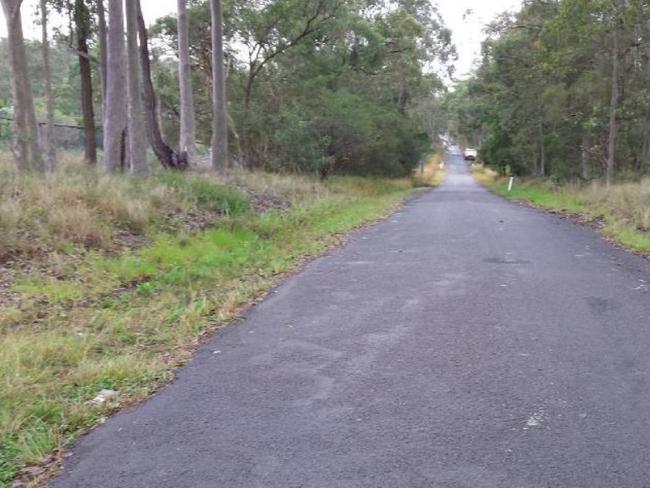 Nikko Road Warnervale: View of Nikko Road next to the proposed development.