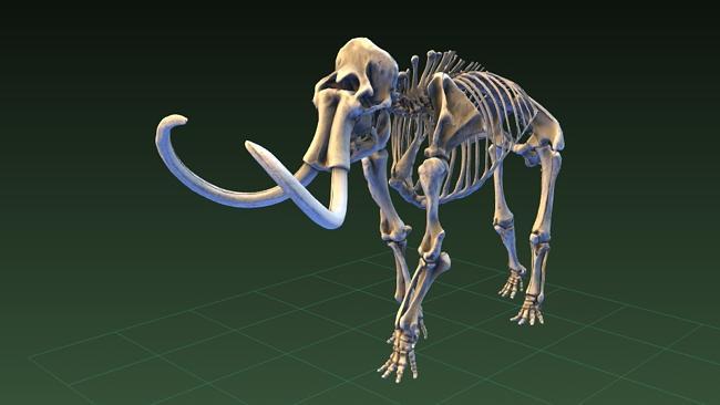 A woolly mammoth skeleton is just one on the many museum pieces made available for you to download and actually hold using a ...