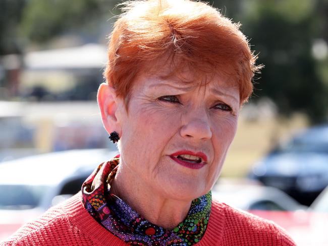 Child Support payments would be quarantined to stop parents blowing money on “booze and Botox”, under sweeping reforms demanded by Senator Pauline Hanson. Picture: NCA NewsWire / Peter Lorimer.