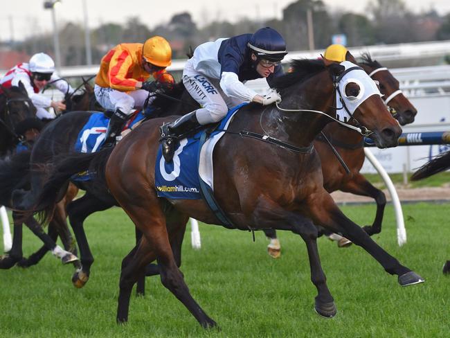 Craig Newitt pilots Tarzino to victory at Caulfield. Picture: Getty Images