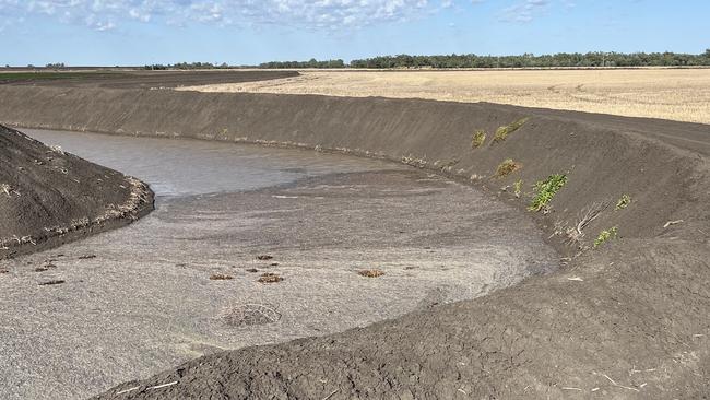 The NSW Government identified this channel in the middle of Gwydir irrigator Jim Cush's wheat paddock as a wetland.