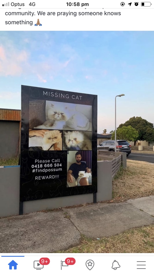 The missing cat sign outside Mr Cooper’s Gladesville Blvd home.