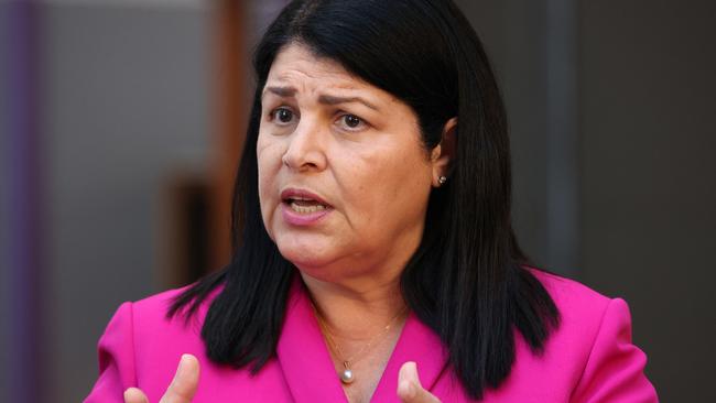 Education Minister Grace Grace insists improving the digital literacy skills of Queensland students and teachers is a focus for the state government. Photo: Steve Pohlner.