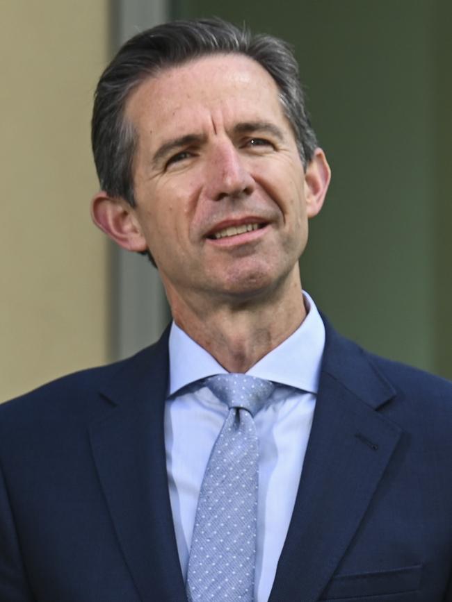 Opposition foreign affairs spokesman Simon Birmingham. Picture: NCA NewsWire/Martin Ollman