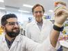 COVID-19 vaccine could be long-lasting