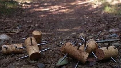 Runners and bushwalkers are being urged to take extra care after homemade spikes were found scattered across a running trail in Lake Macquarie’s State Conservation Park. Credit: NSW Police Supplied