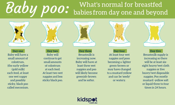 What Your Child S Poo Should Look Like Colour Consistency And Frequency Kidspot