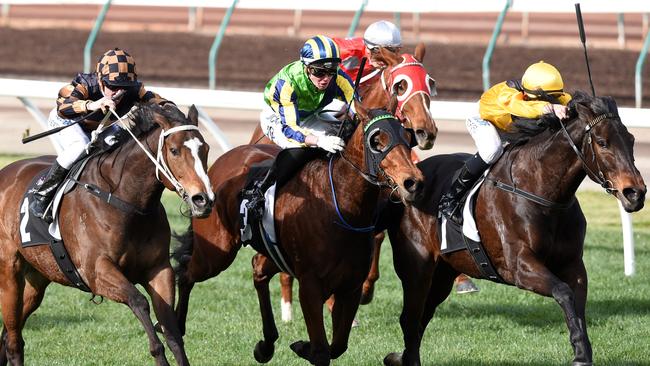 Savannah Moon (yellow).  Picture: Vince Caligiuri/Getty Images.